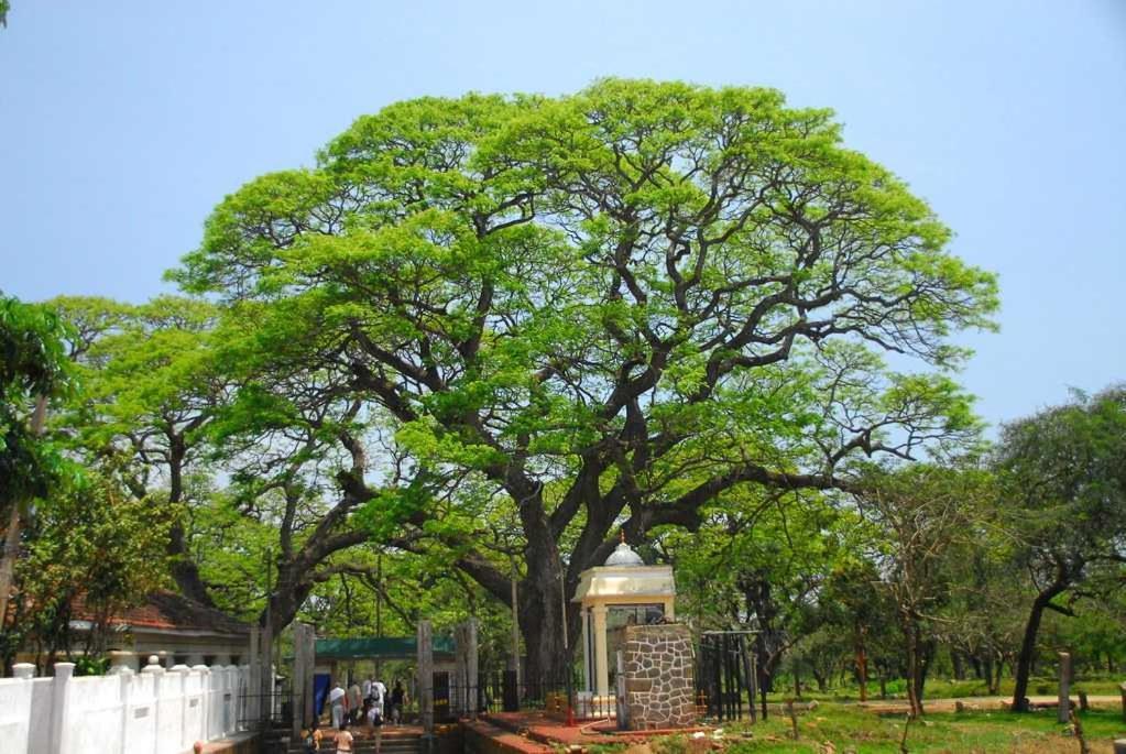 Lucky Holiday Home Anuradhapura Exterior photo